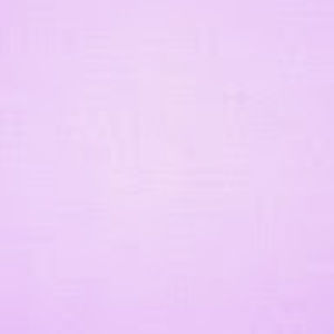 Meet your Posher, Winnie